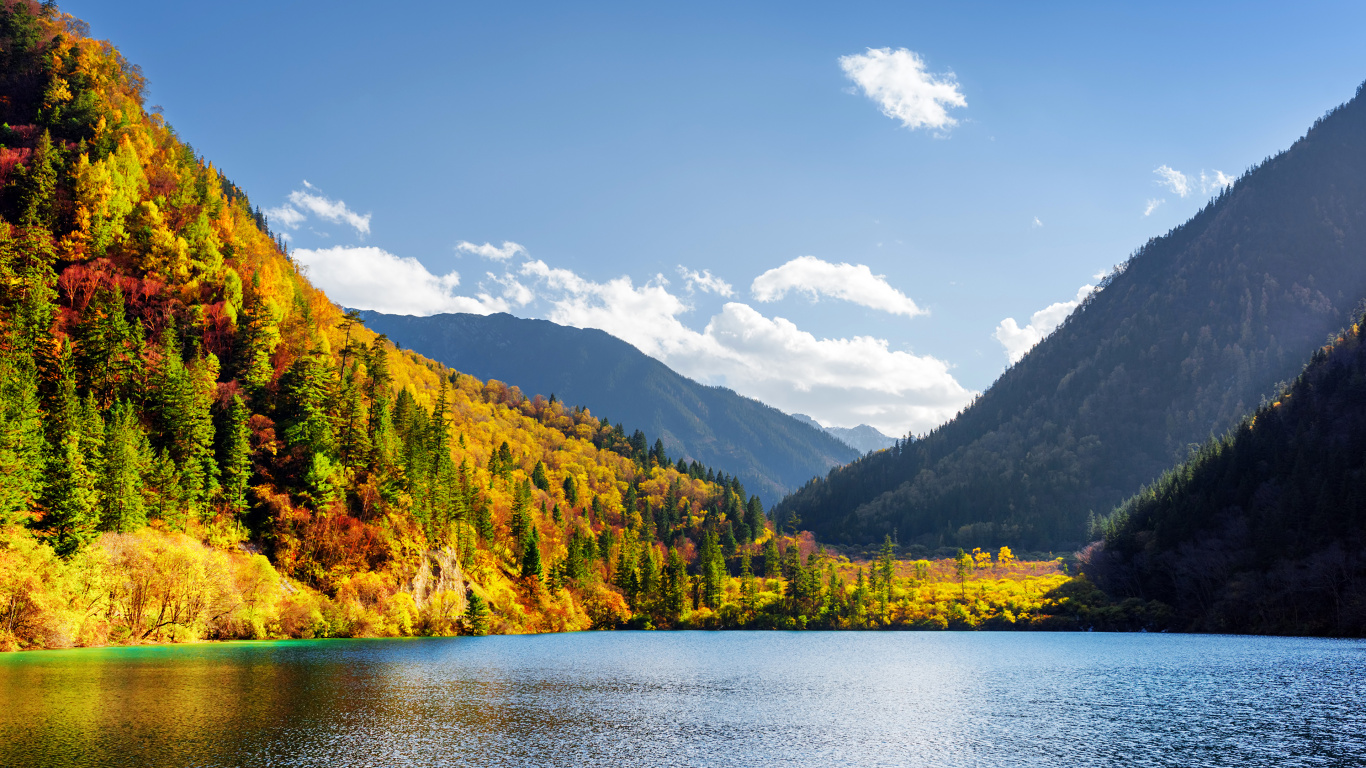 Green Trees Near Lake Under Blue Sky During Daytime. Wallpaper in 1366x768 Resolution