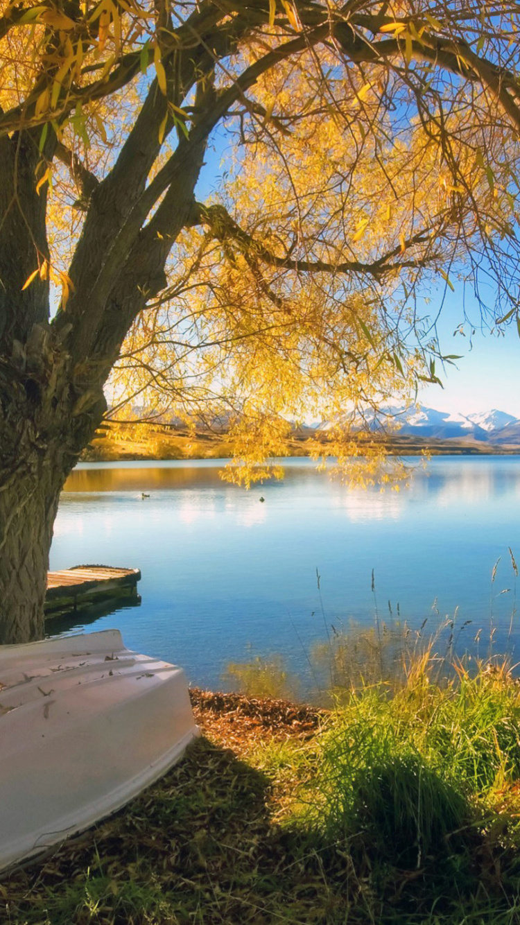 Theatralische Landschaft, Wasser, Cloud, Naturlandschaft, Holz. Wallpaper in 750x1334 Resolution