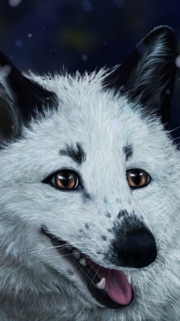 Weißer Und Schwarzer Fuchs in Nahaufnahme In. Wallpaper in 720x1280 Resolution