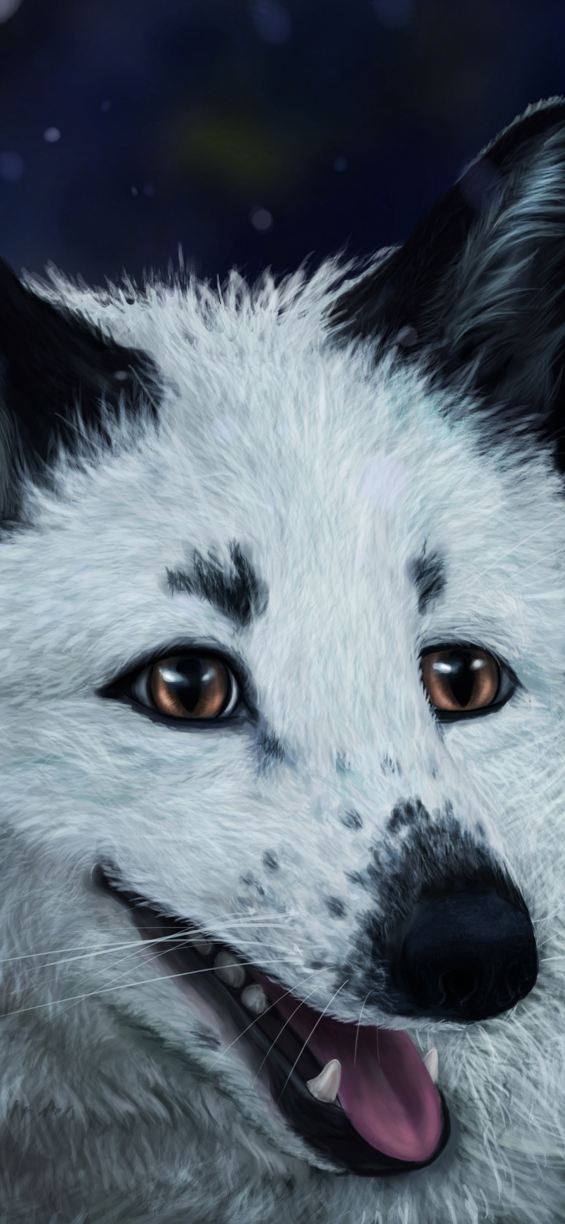 White and Black Fox in Close up Photography. Wallpaper in 1125x2436 Resolution