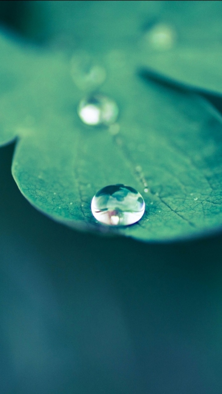 Water Droplets on Green Leaf. Wallpaper in 720x1280 Resolution