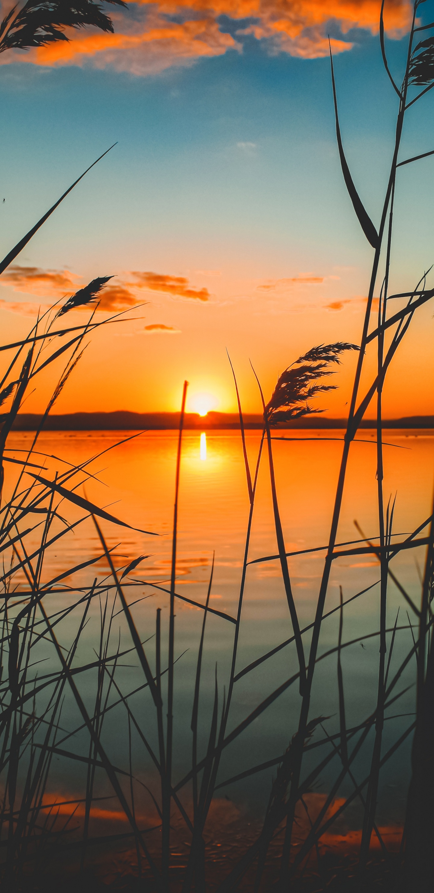 Couleur, Afterglow, Nature, Horizon, Lever. Wallpaper in 1440x2960 Resolution