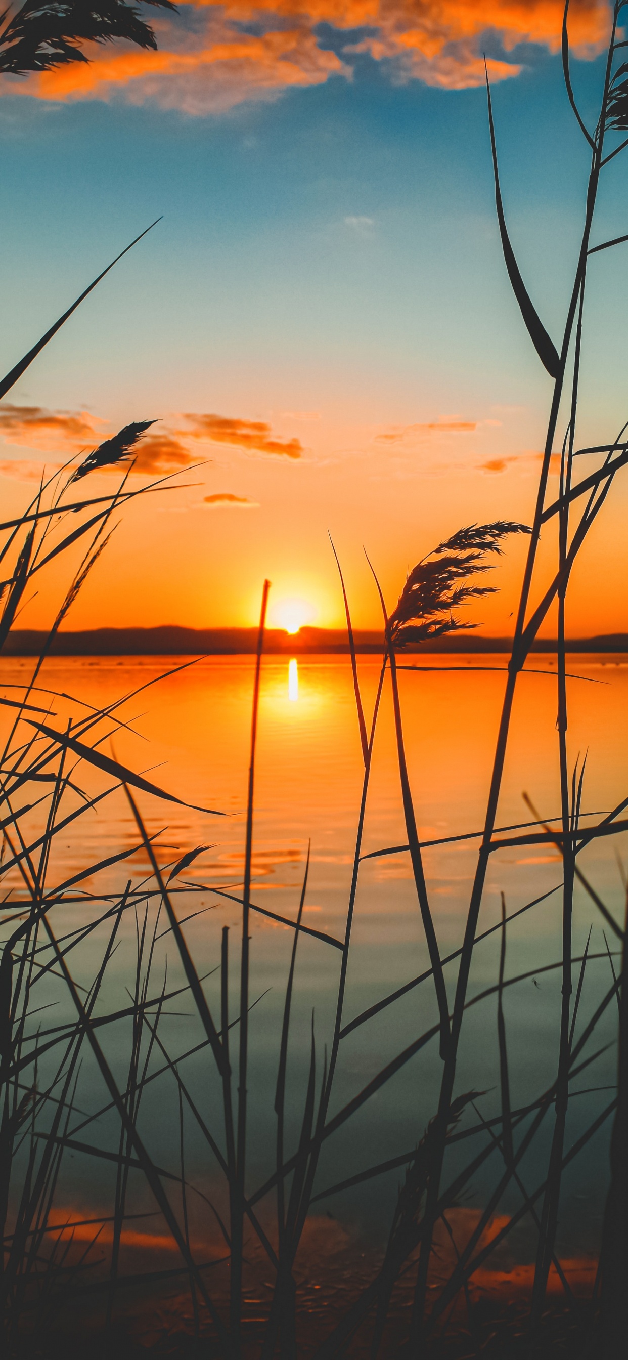 Sunset, Color, Afterglow, Nature, Horizon. Wallpaper in 1242x2688 Resolution