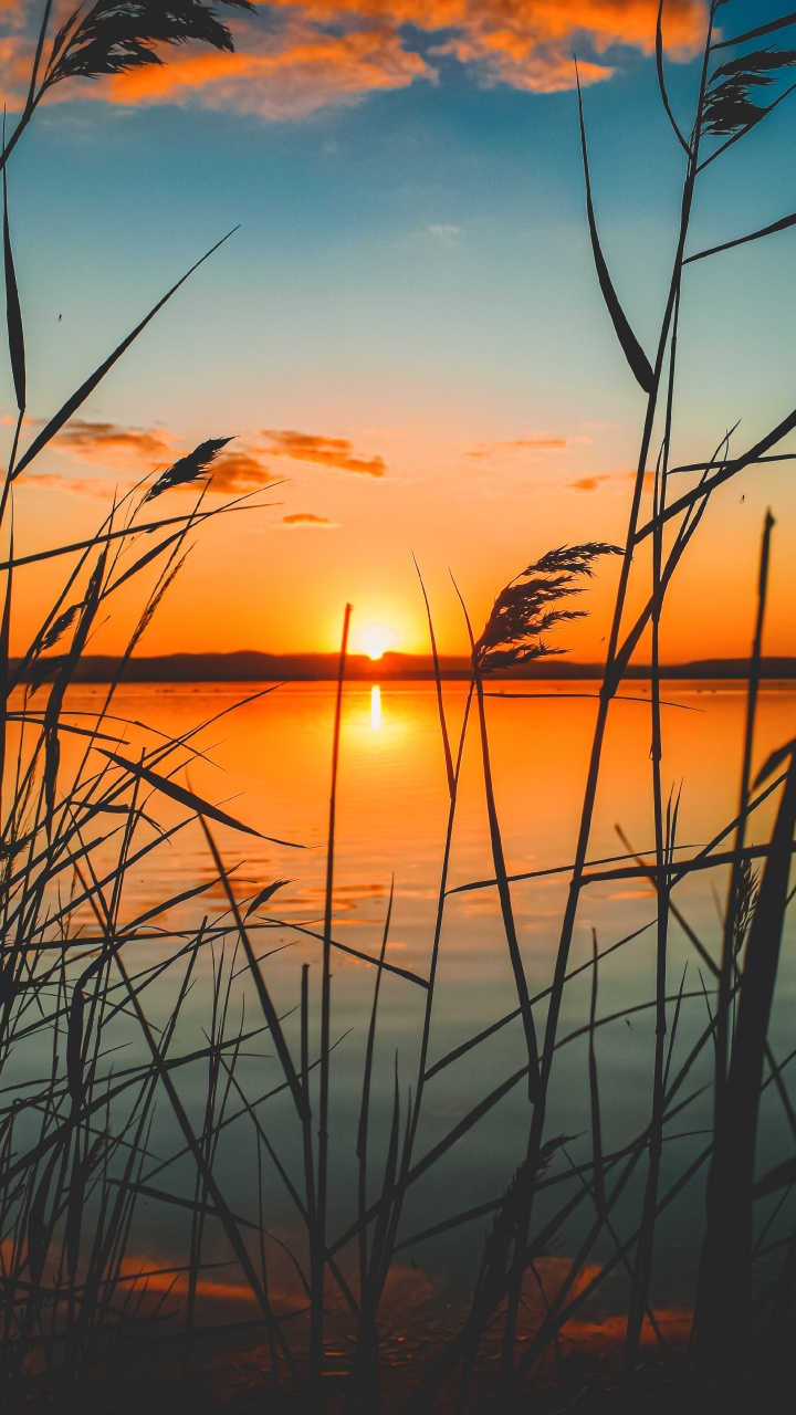 Sunset, Color, Afterglow, Nature, Horizon. Wallpaper in 720x1280 Resolution