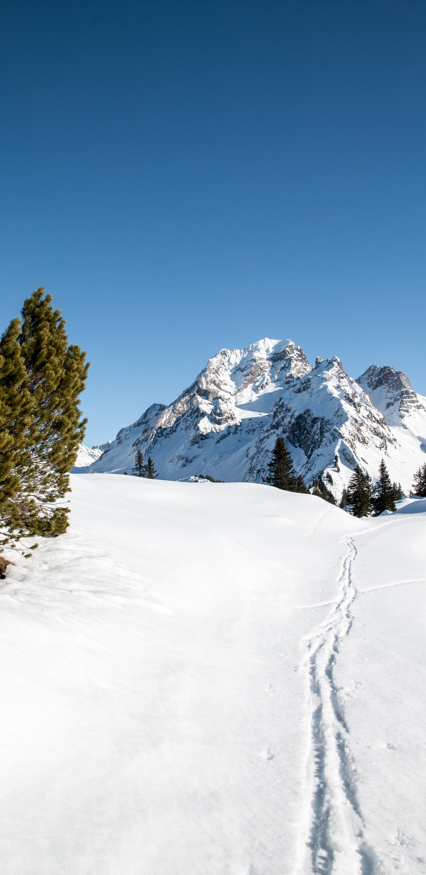 Glacial Landform, Mountain, Massif, Mountain Pass, Alps. Wallpaper in 1440x2960 Resolution