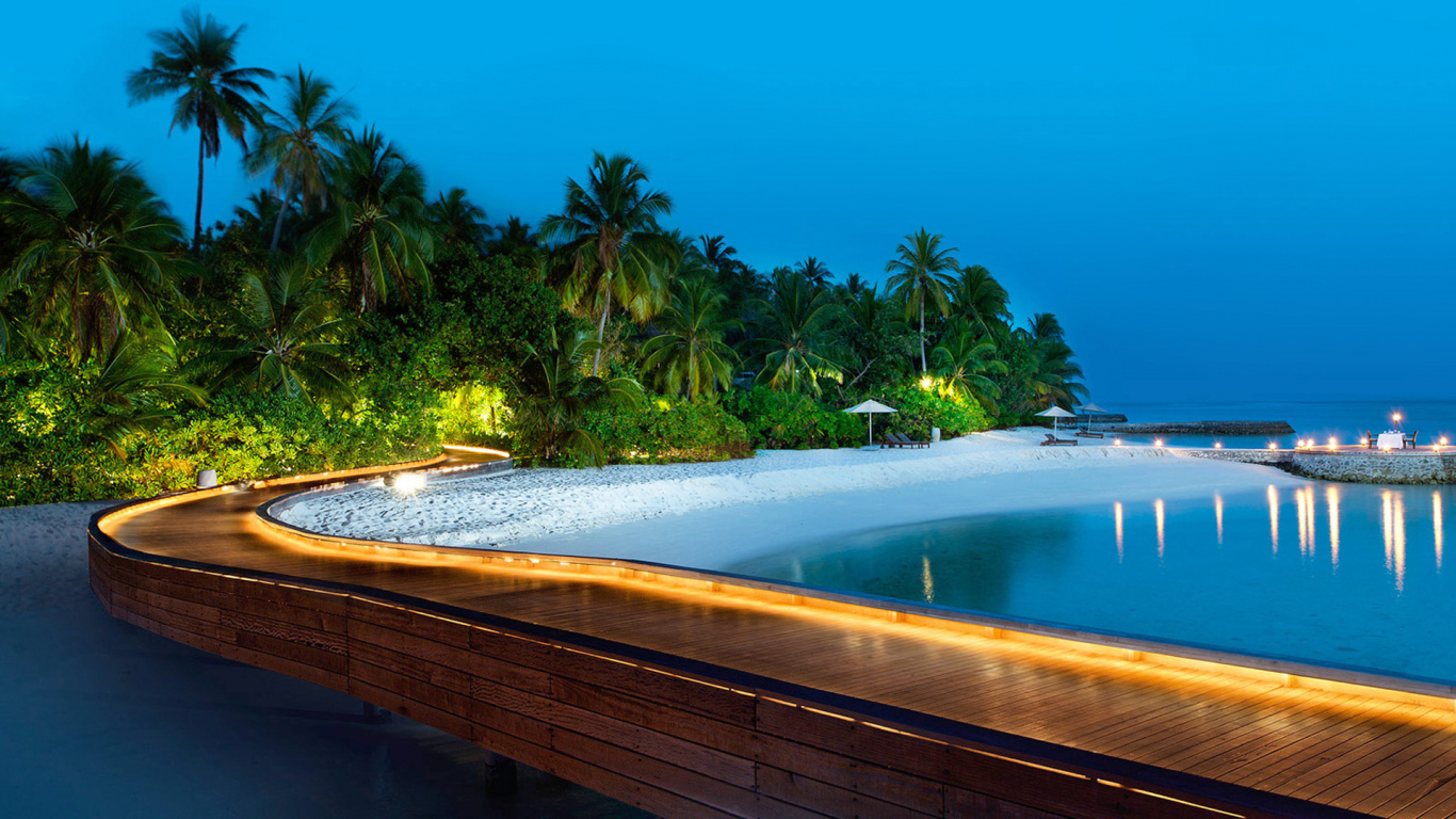 Green Palm Trees Near Body of Water During Daytime. Wallpaper in 1366x768 Resolution