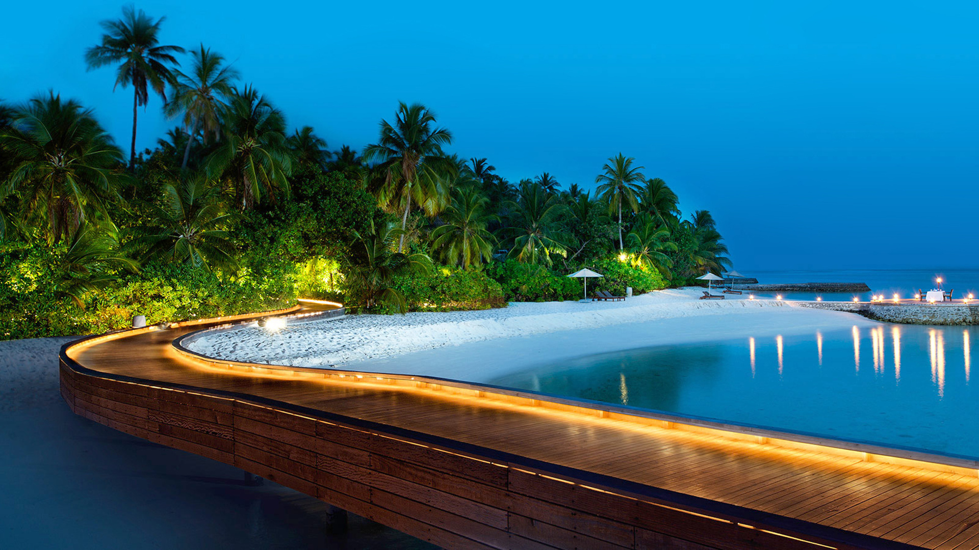 Palmeras Verdes Cerca Del Cuerpo de Agua Durante el Día.. Wallpaper in 1920x1080 Resolution