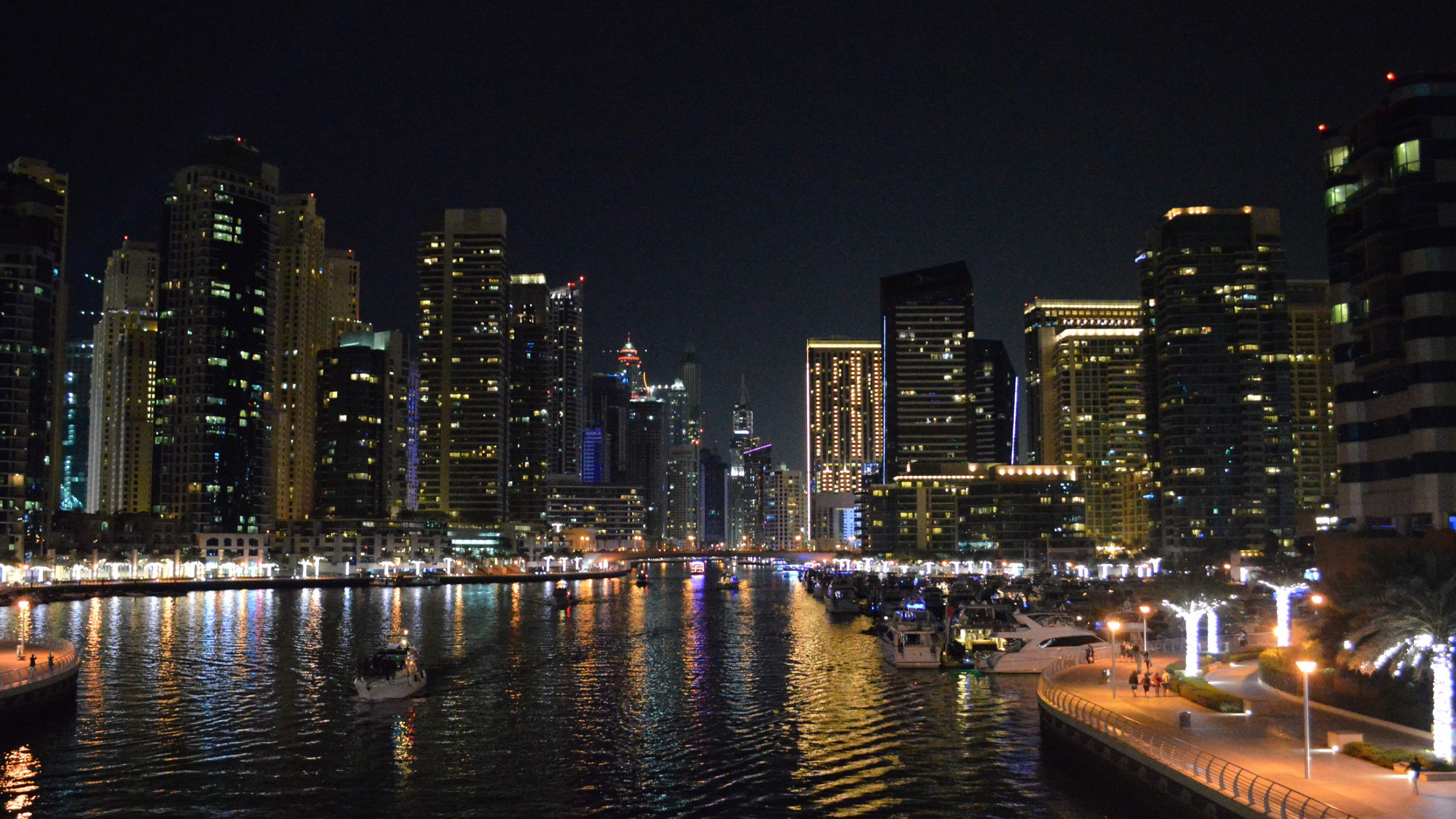 Skyline Der Stadt Bei Nacht Night. Wallpaper in 2560x1440 Resolution