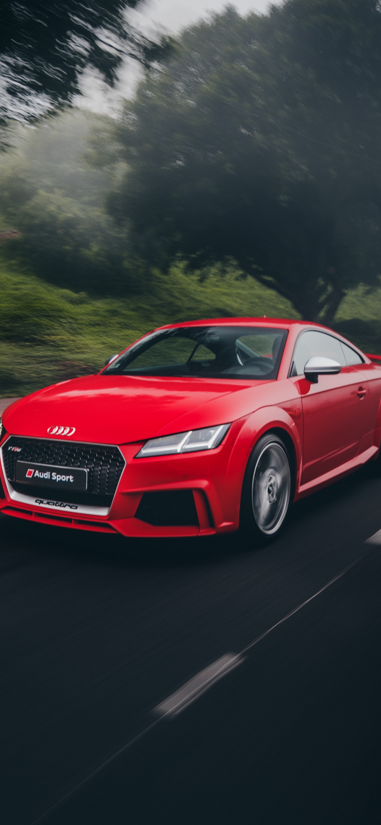 Red Audi Coupe on Road During Daytime. Wallpaper in 1242x2688 Resolution