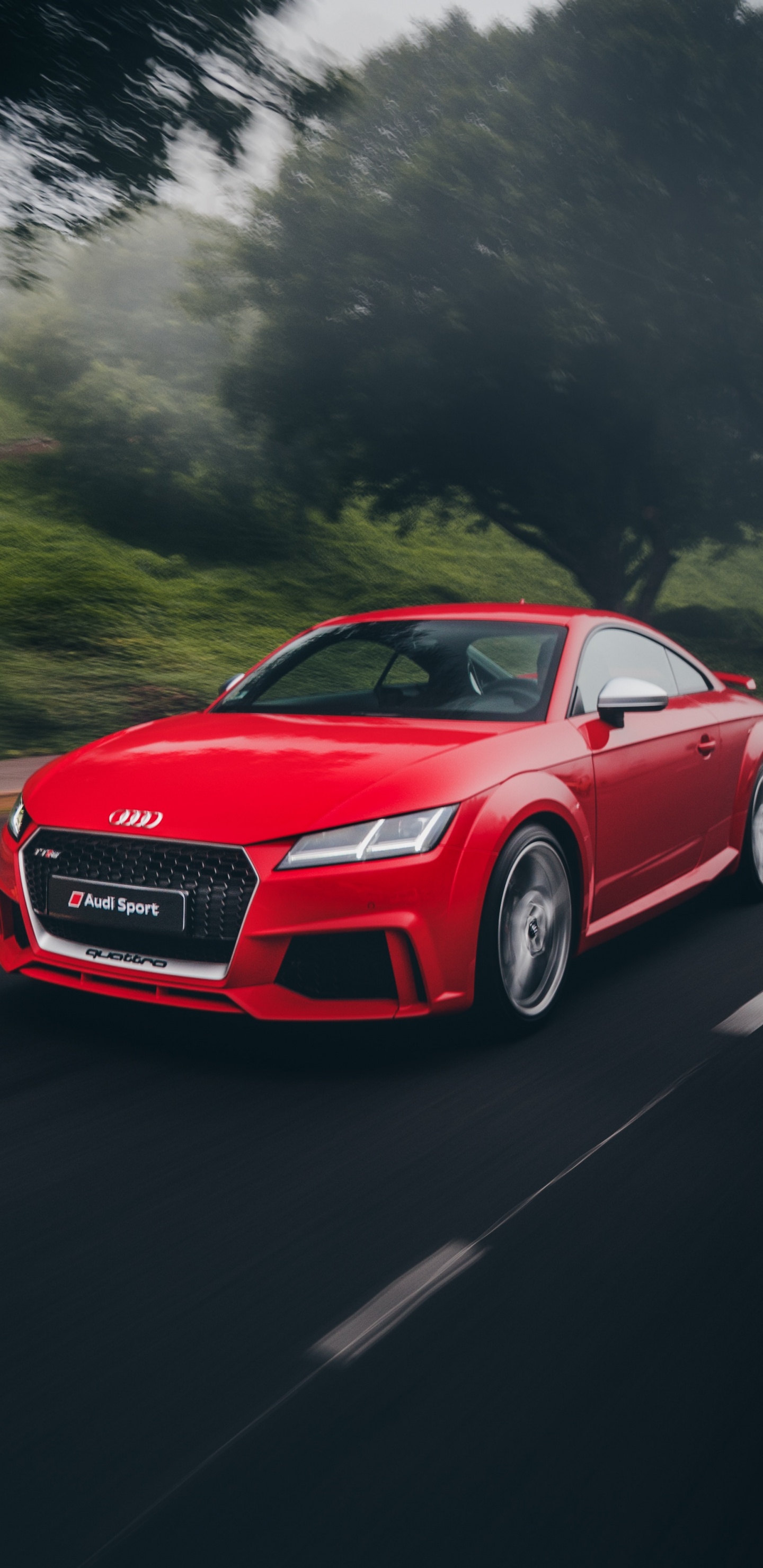 Coupé Audi Rouge Sur Route Pendant la Journée. Wallpaper in 1440x2960 Resolution