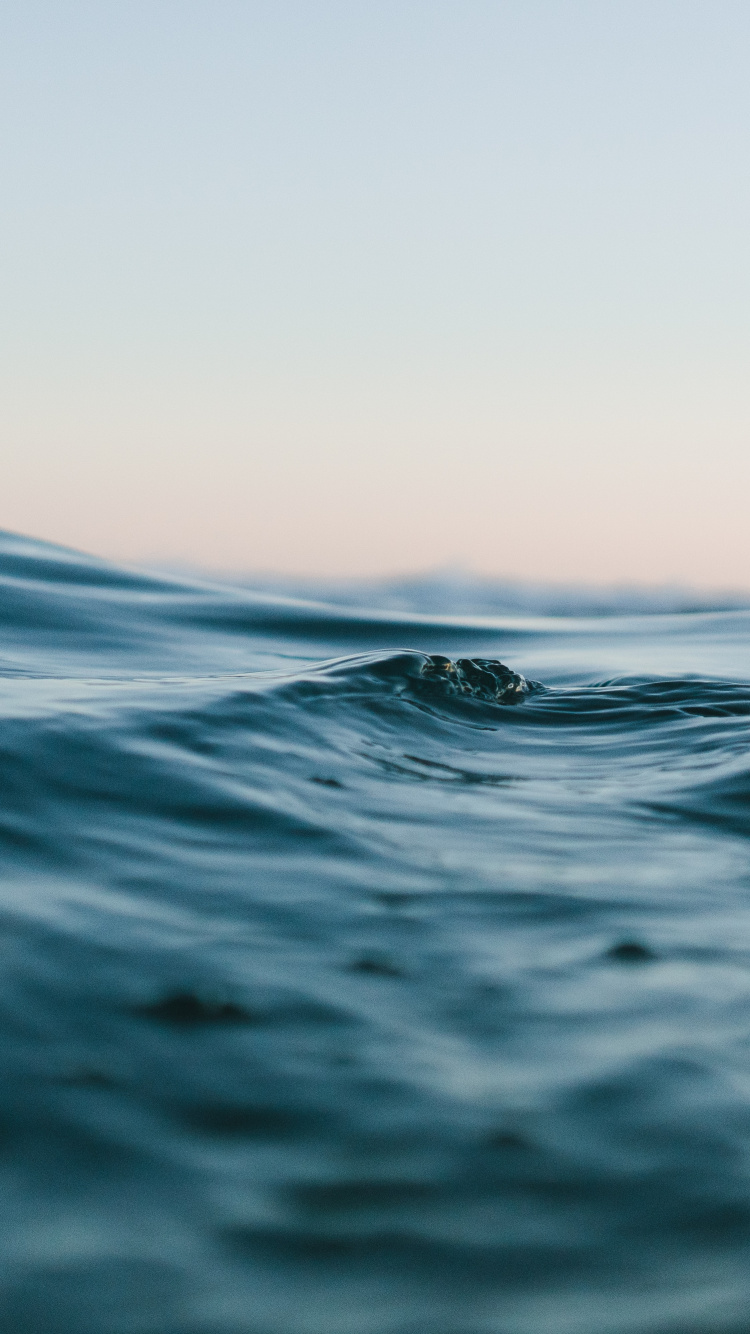 Beach Close Up, Beach, Shore, Body of Water, Sea. Wallpaper in 750x1334 Resolution