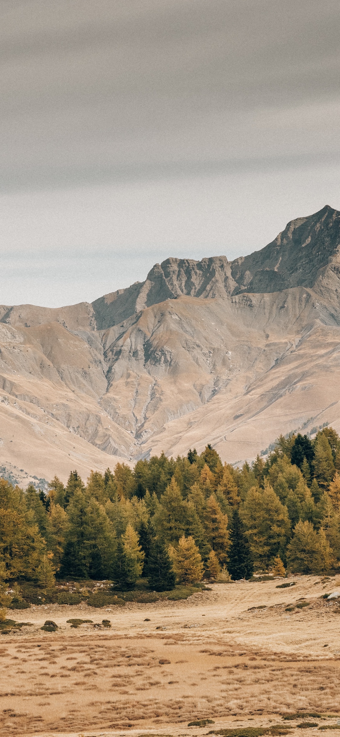 Desierto, Montaña, Paisaje Natural, Highland, Pendiente. Wallpaper in 1125x2436 Resolution