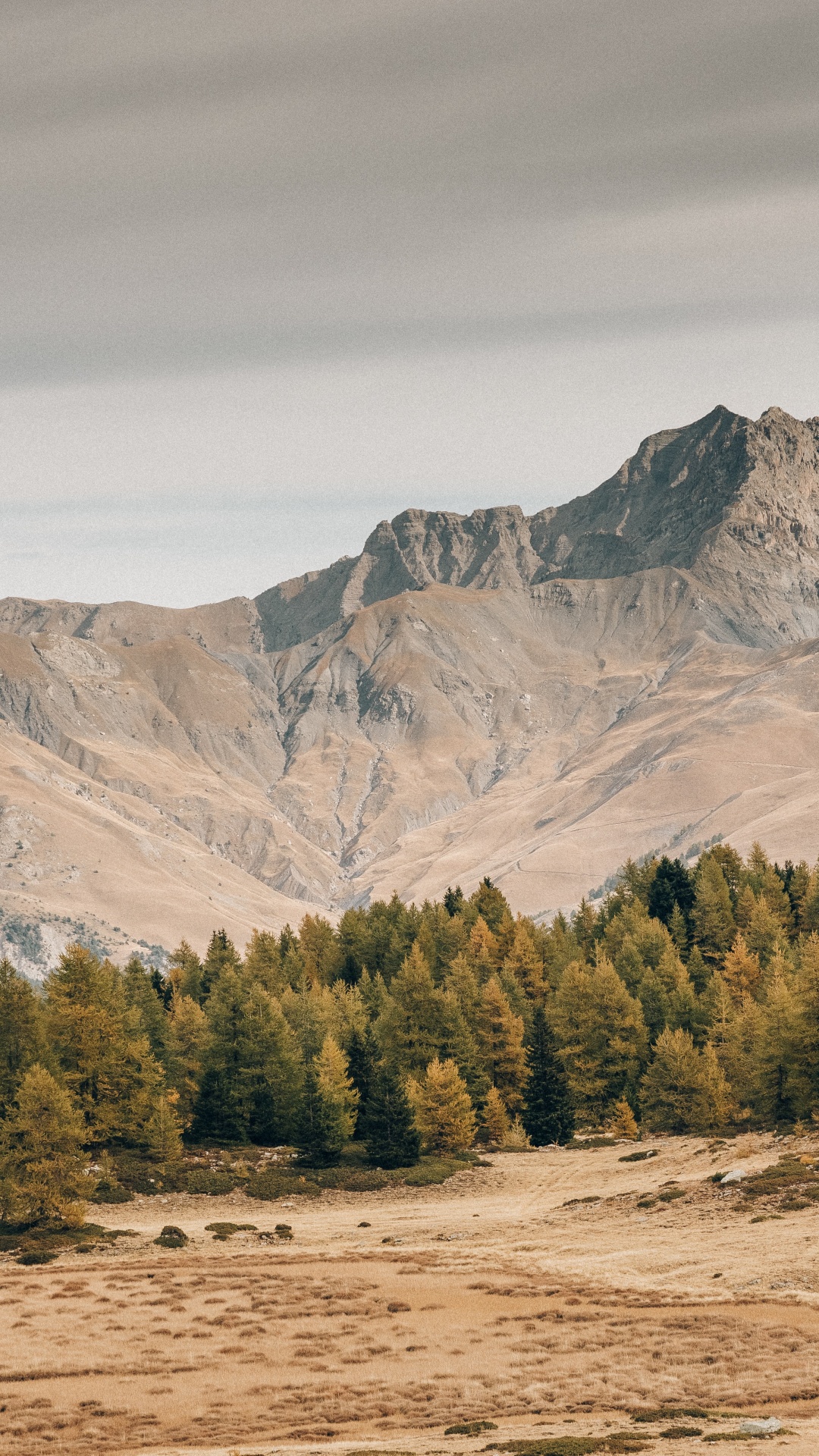 Wilderness, Cloud, Plant, Mountain, Natural Landscape. Wallpaper in 1080x1920 Resolution