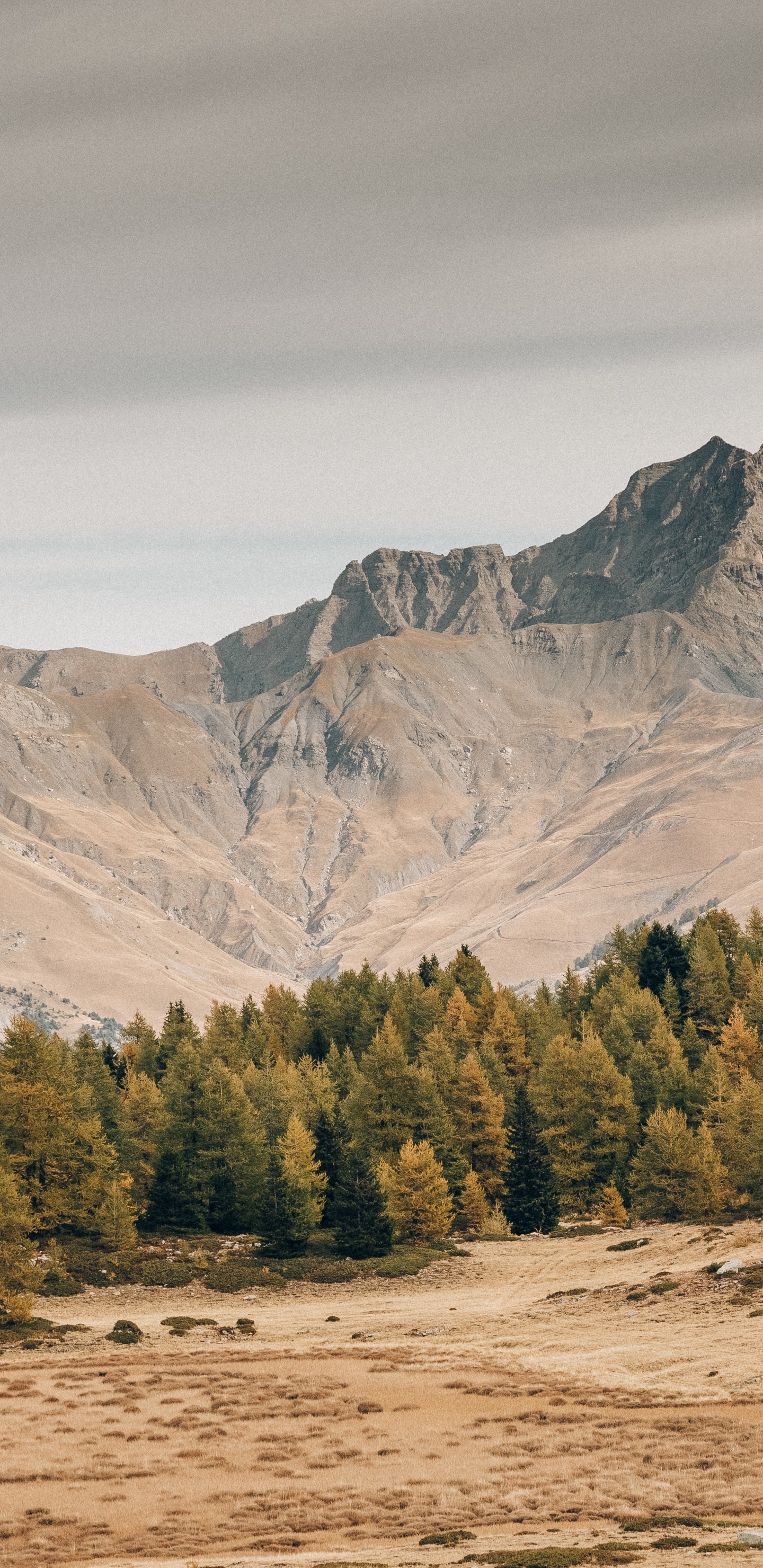 Wilderness, Cloud, Plant, Mountain, Natural Landscape. Wallpaper in 1440x2960 Resolution