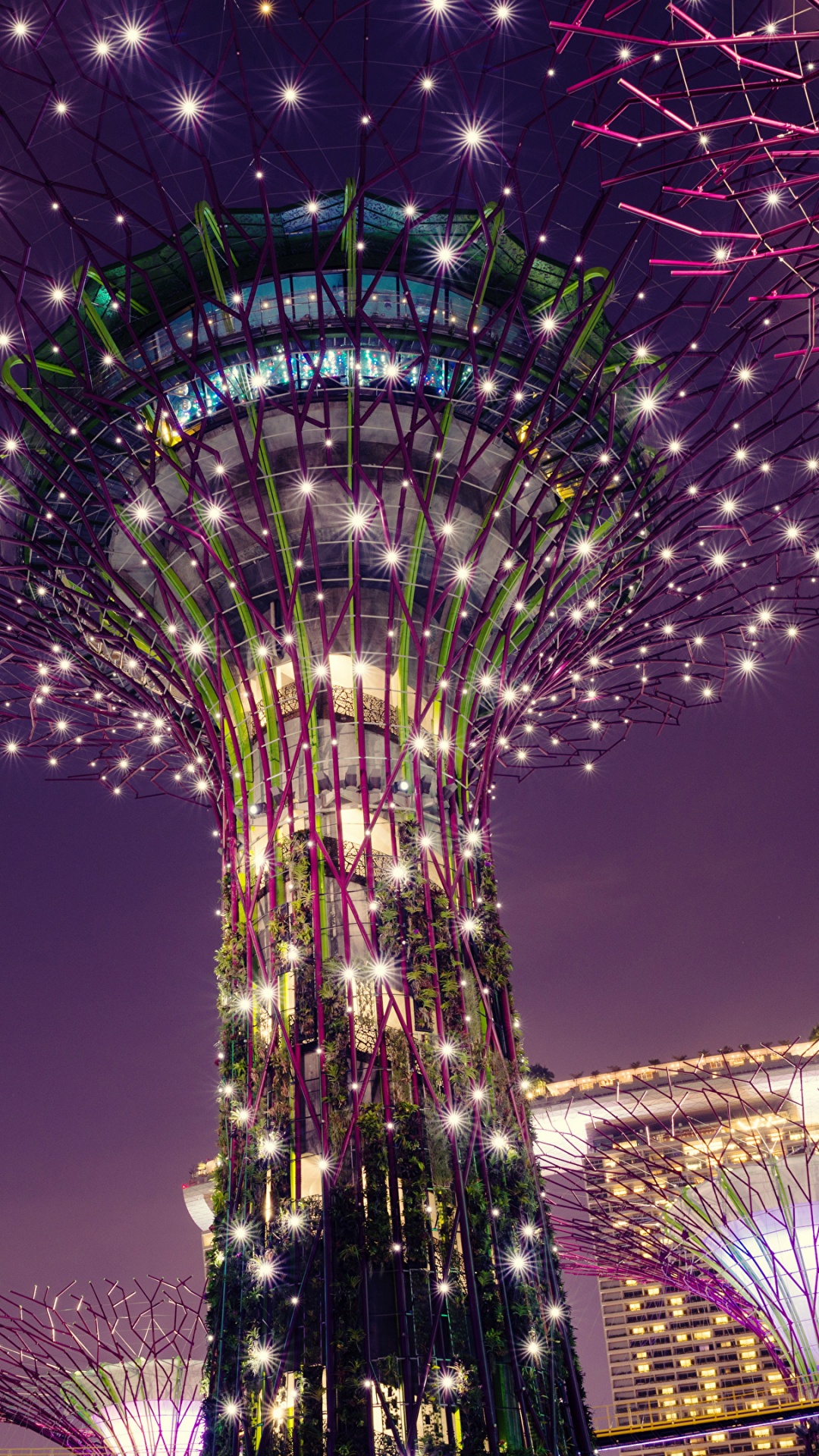 Luces Púrpuras y Azules en el Árbol de Navidad. Wallpaper in 1080x1920 Resolution