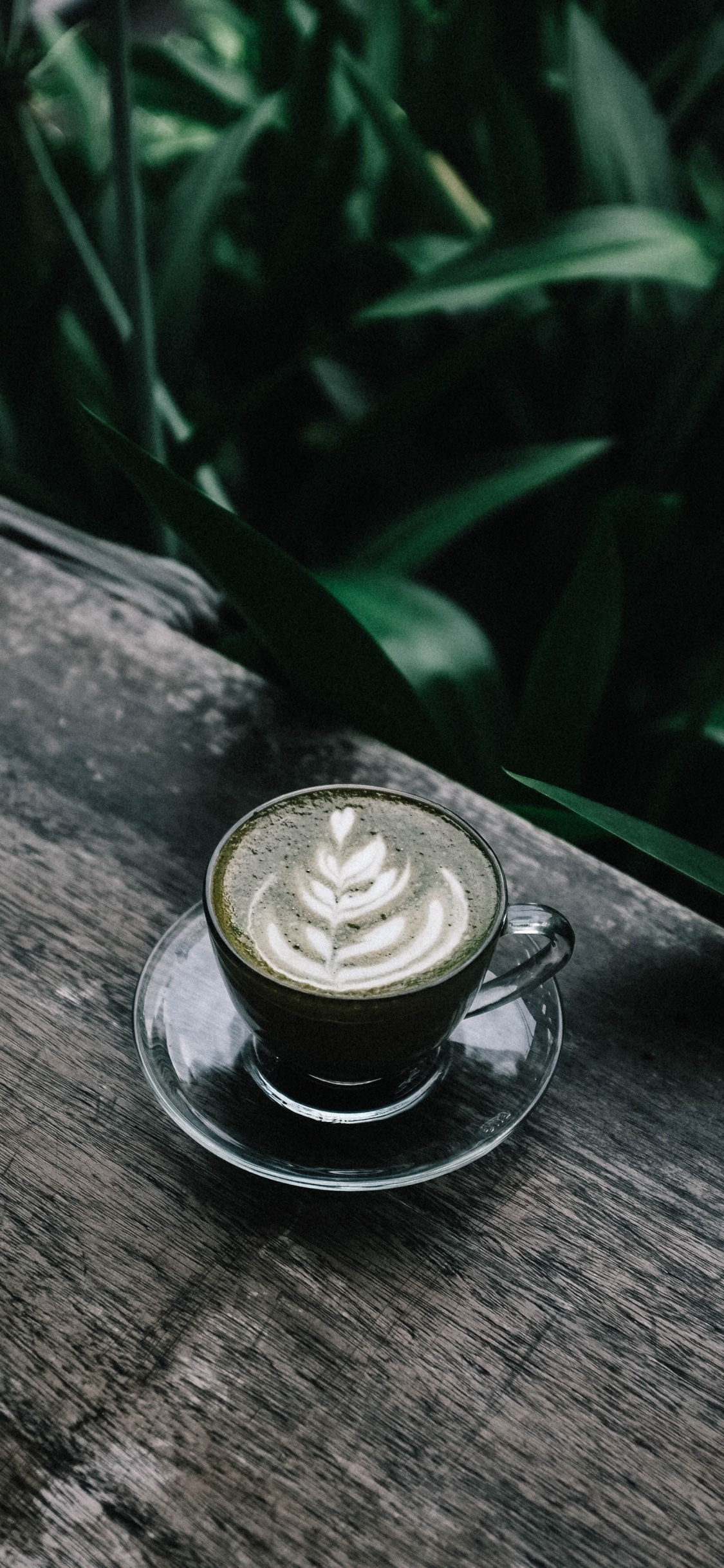 咖啡因, 拿铁咖啡, 平白, Caff玛奇雅朵咖啡, Cortado 壁纸 1125x2436 允许