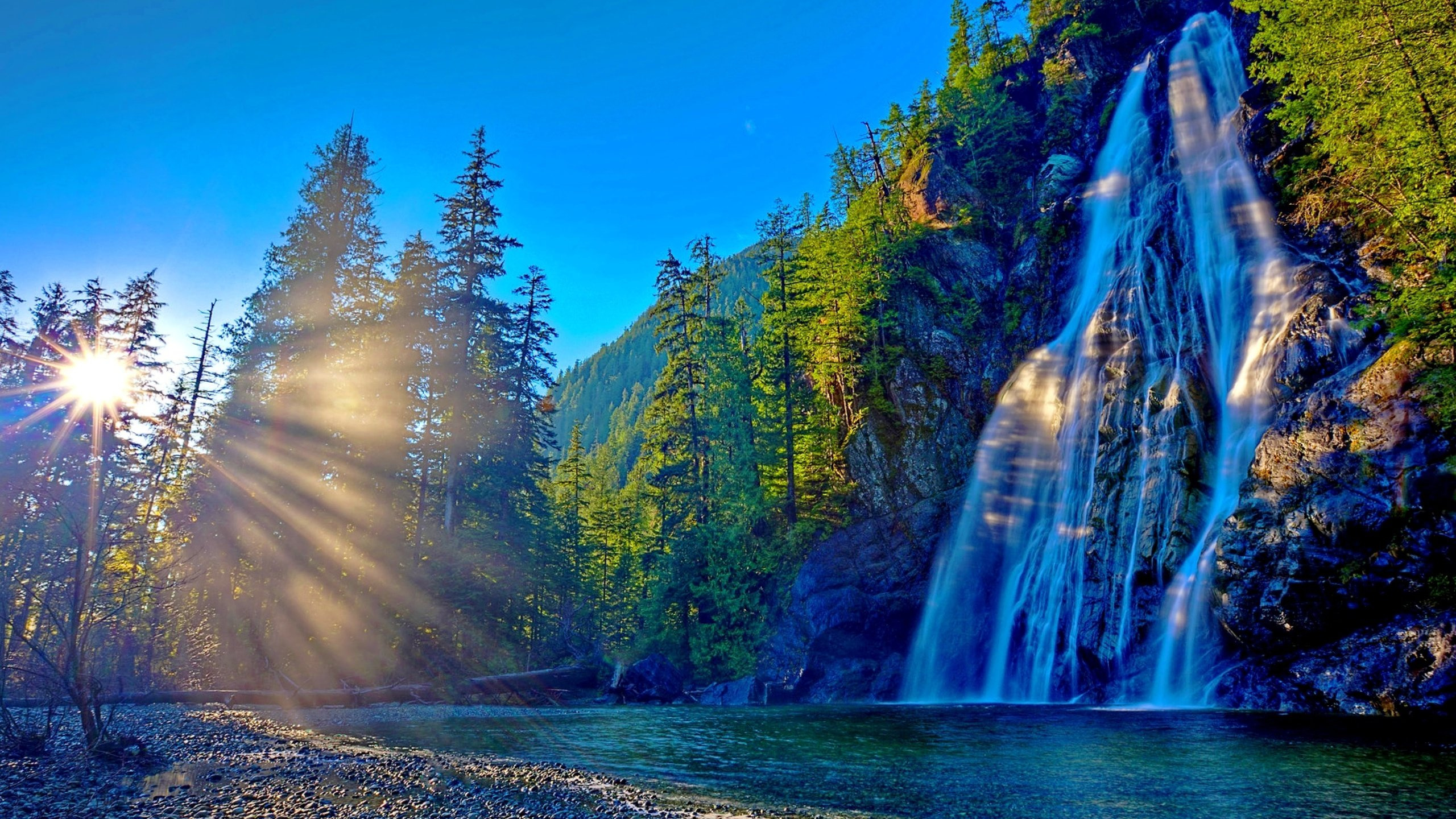 Green Trees Near Water Falls During Daytime. Wallpaper in 2560x1440 Resolution
