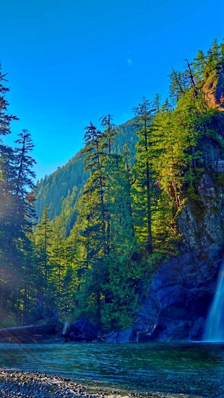 Green Trees Near Water Falls During Daytime. Wallpaper in 720x1280 Resolution