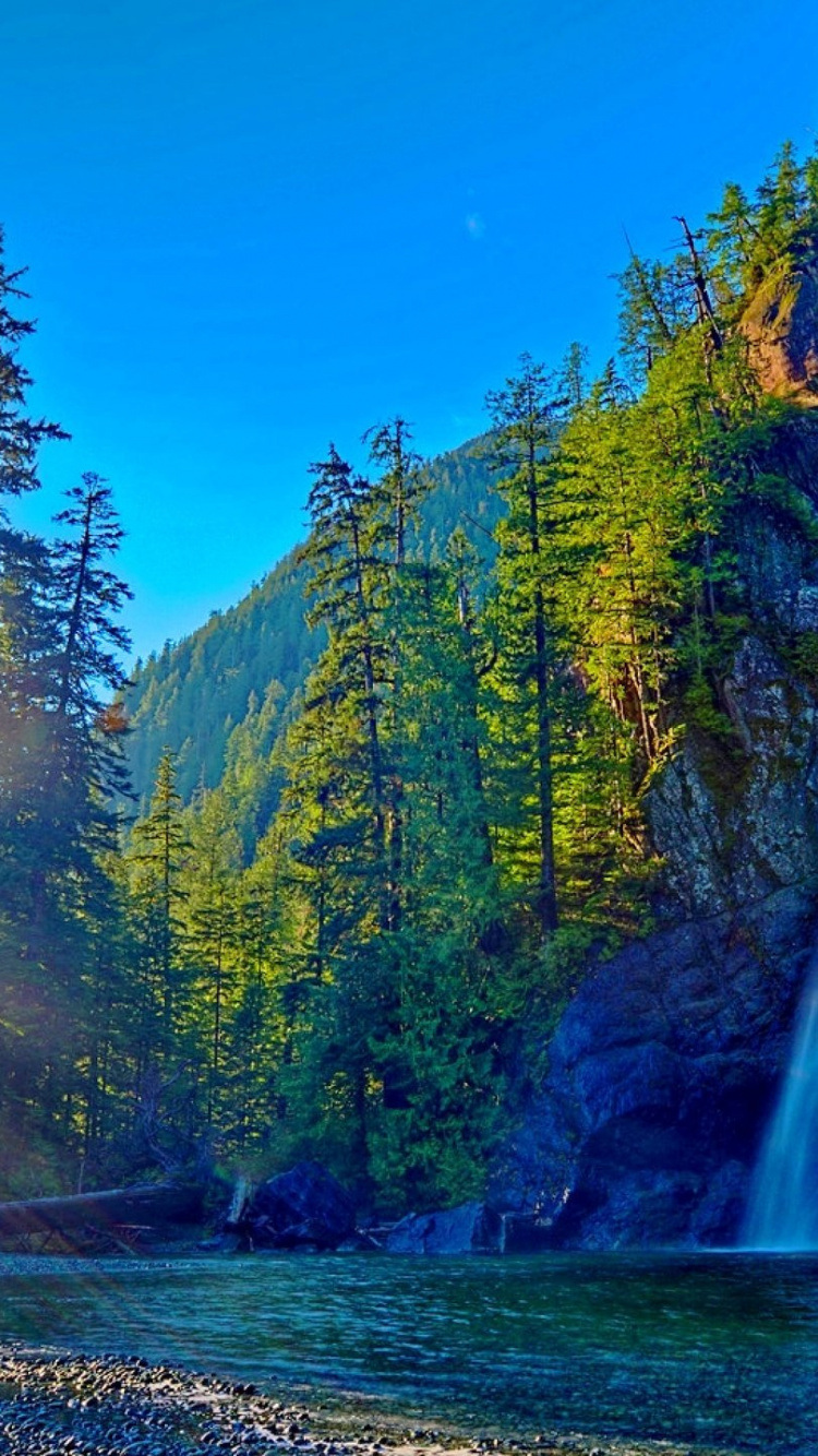 Green Trees Near Water Falls During Daytime. Wallpaper in 750x1334 Resolution