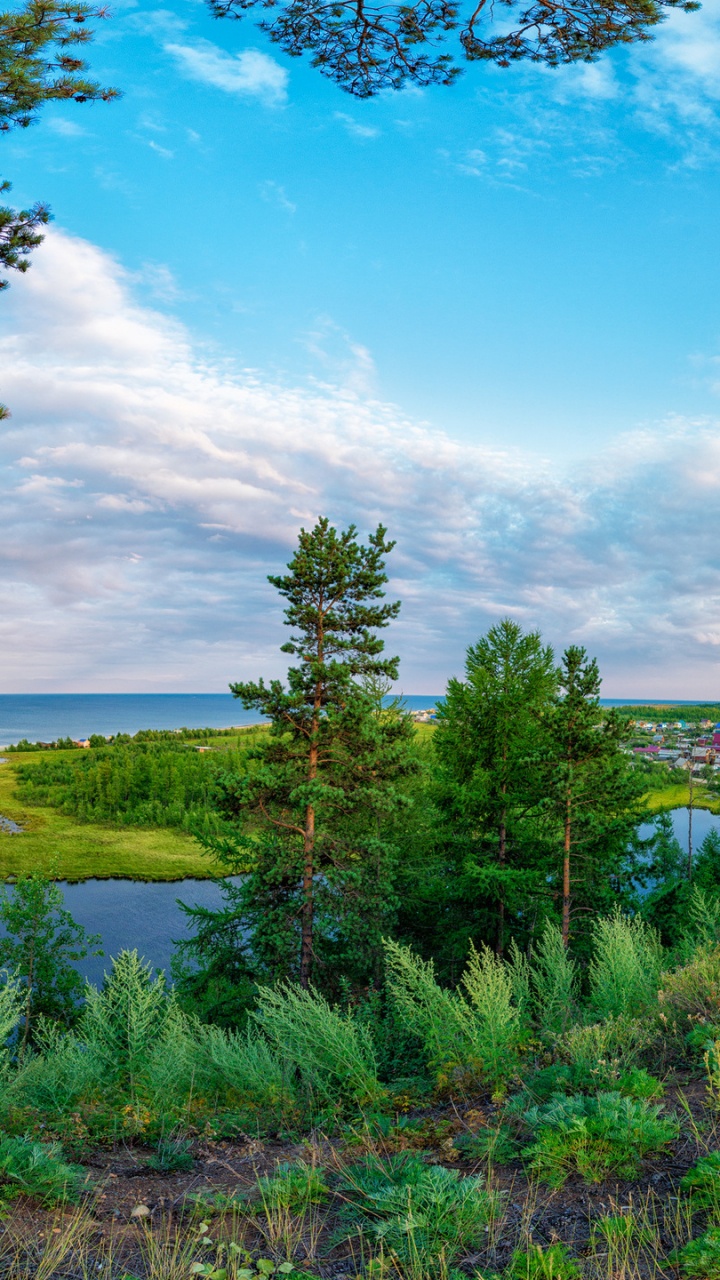 Árboles Verdes Cerca Del Cuerpo de Agua Bajo un Cielo Azul Durante el Día. Wallpaper in 720x1280 Resolution