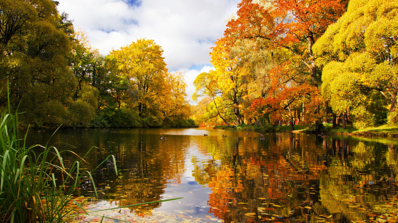 Green and Yellow Trees Beside River Under Cloudy Sky During Daytime. Wallpaper in 1280x720 Resolution