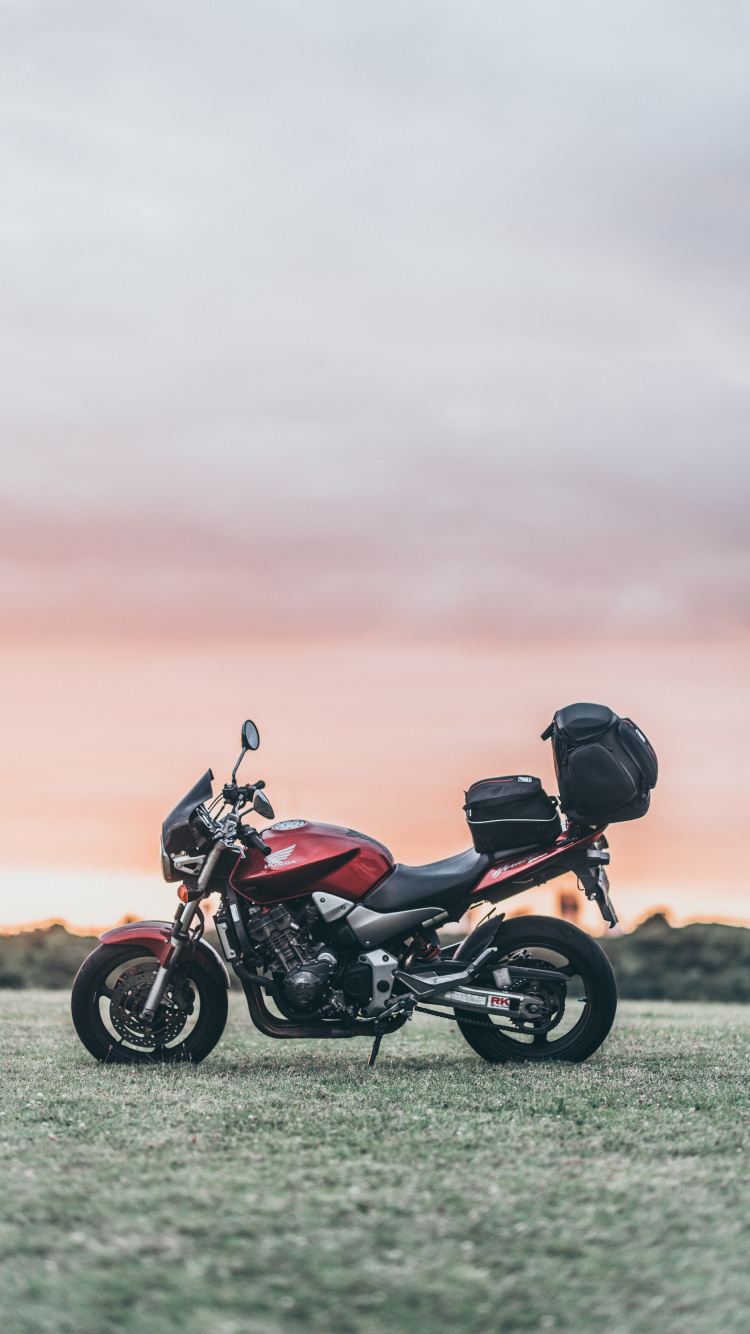 Black and Red Motorcycle on Green Grass Field During Daytime. Wallpaper in 750x1334 Resolution