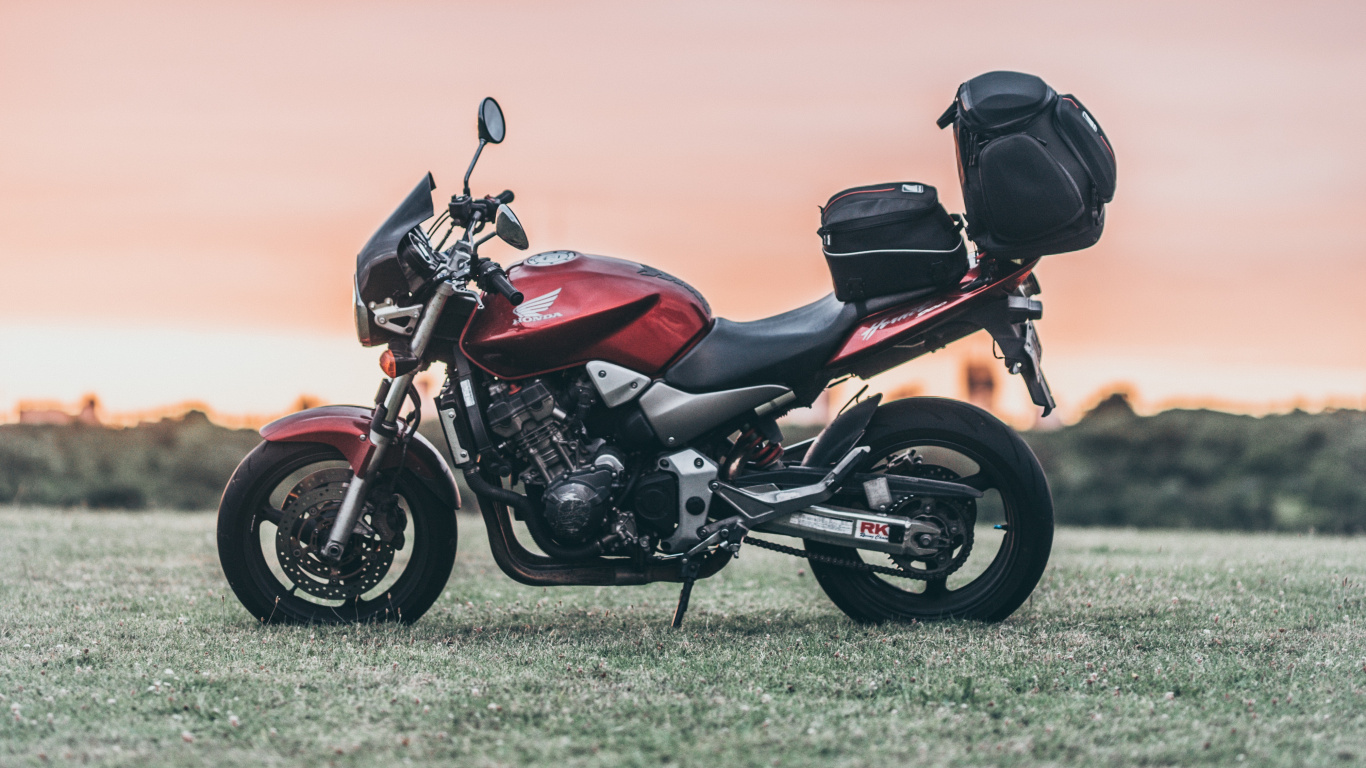 Schwarzes Und Rotes Motorrad Auf Grüner Wiese Tagsüber During. Wallpaper in 1366x768 Resolution