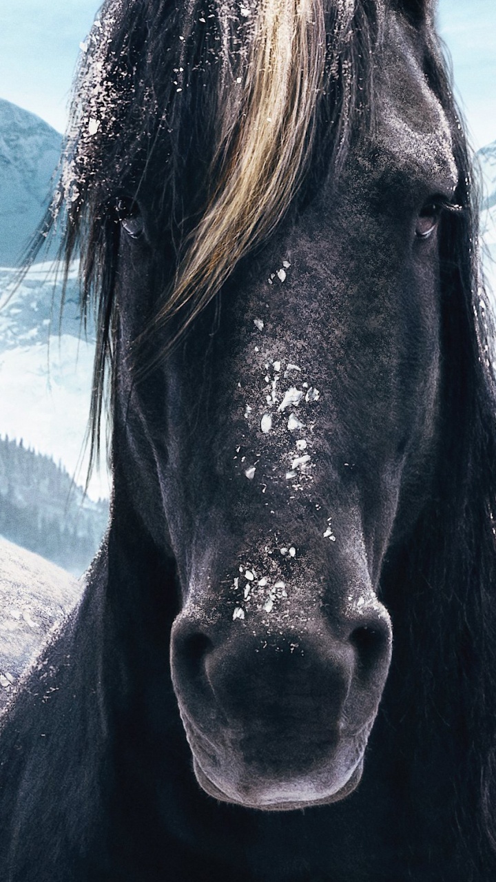 Jumanji el Siguiente Nivel Caballo, Montaña, Nieve, Naturaleza, Paisaje Natural. Wallpaper in 720x1280 Resolution