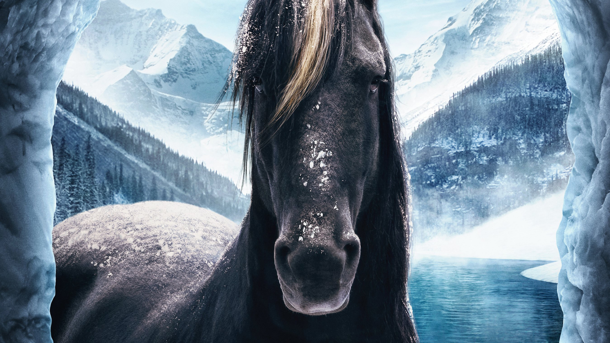 Jumanji le Cheval de Niveau Suivant, Neige, Nature, Paysage Naturel, Corps de L'eau. Wallpaper in 2560x1440 Resolution