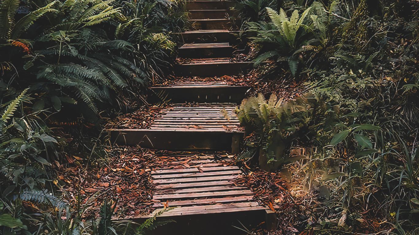 Natur, Pflanzen-Gemeinschaft, Holz, Naturlandschaft, Vegetation. Wallpaper in 1366x768 Resolution