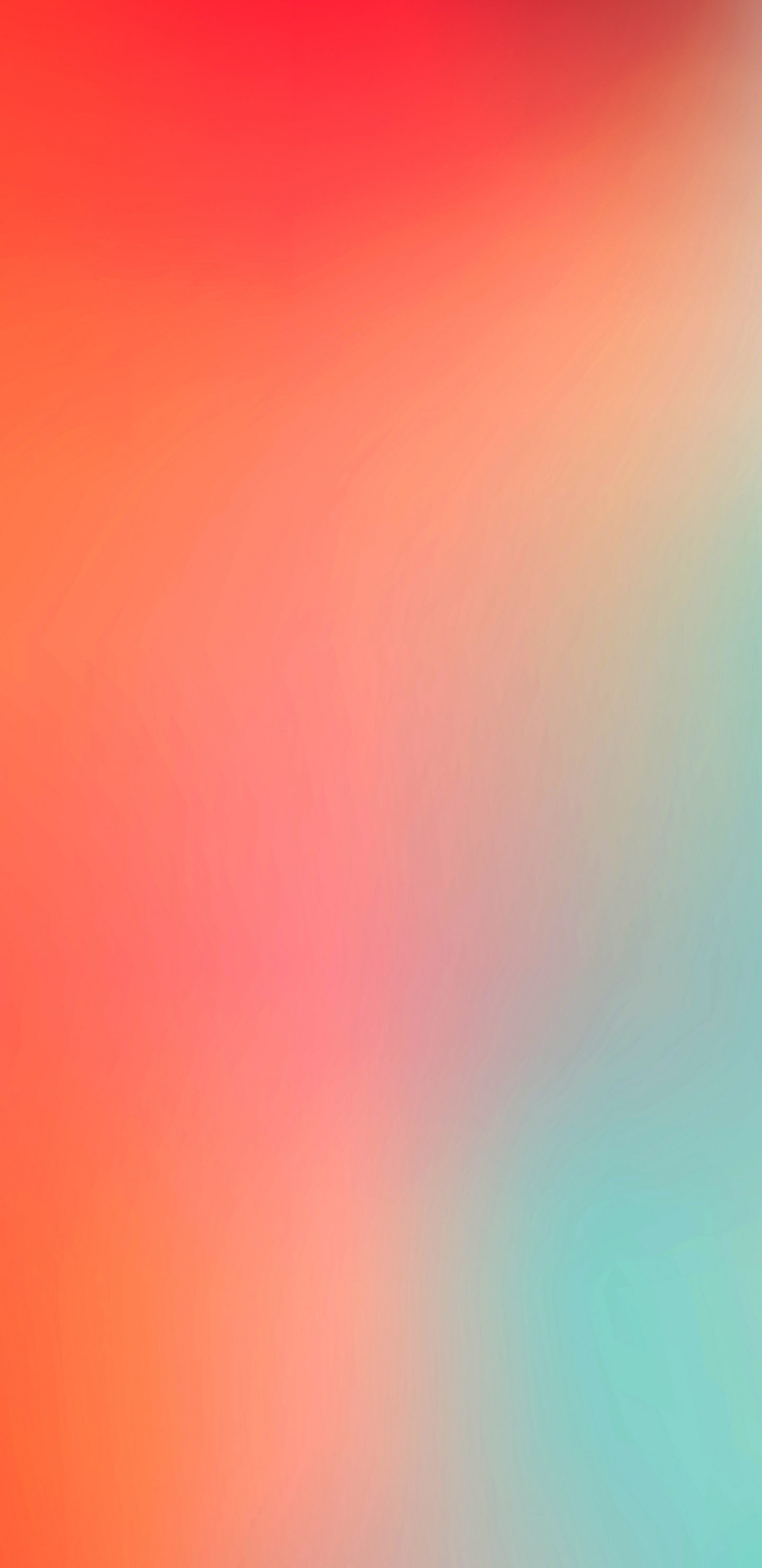Naranja, Ambiente, Morena, Ambar, Rosa. Wallpaper in 1440x2960 Resolution