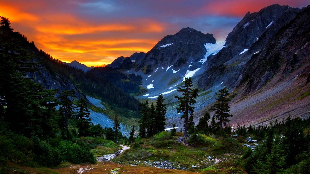 Green Trees on Mountain During Daytime. Wallpaper in 1280x720 Resolution