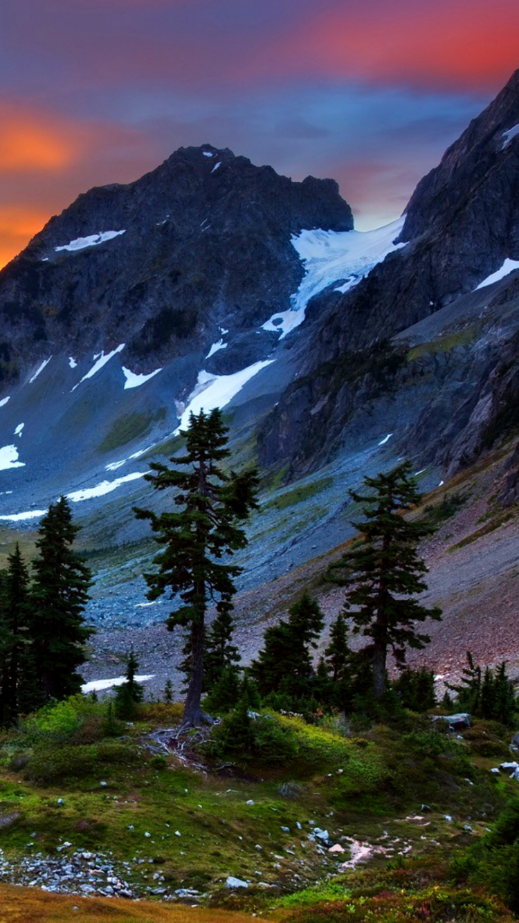 Green Trees on Mountain During Daytime. Wallpaper in 750x1334 Resolution