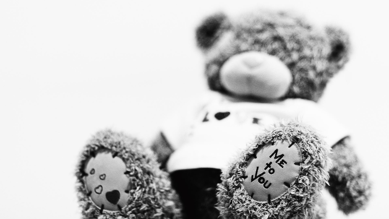 Foto en Escala de Grises de Dos Osos de Peluche. Wallpaper in 1280x720 Resolution