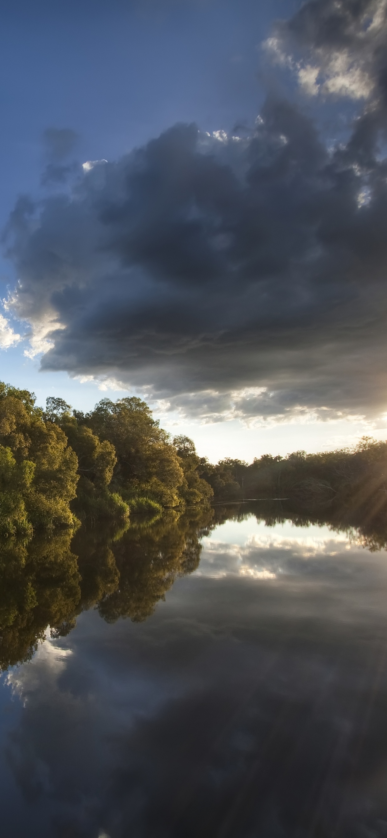 Arbres Verts à Côté de la Rivière Sous Ciel Bleu Pendant la Journée. Wallpaper in 1242x2688 Resolution