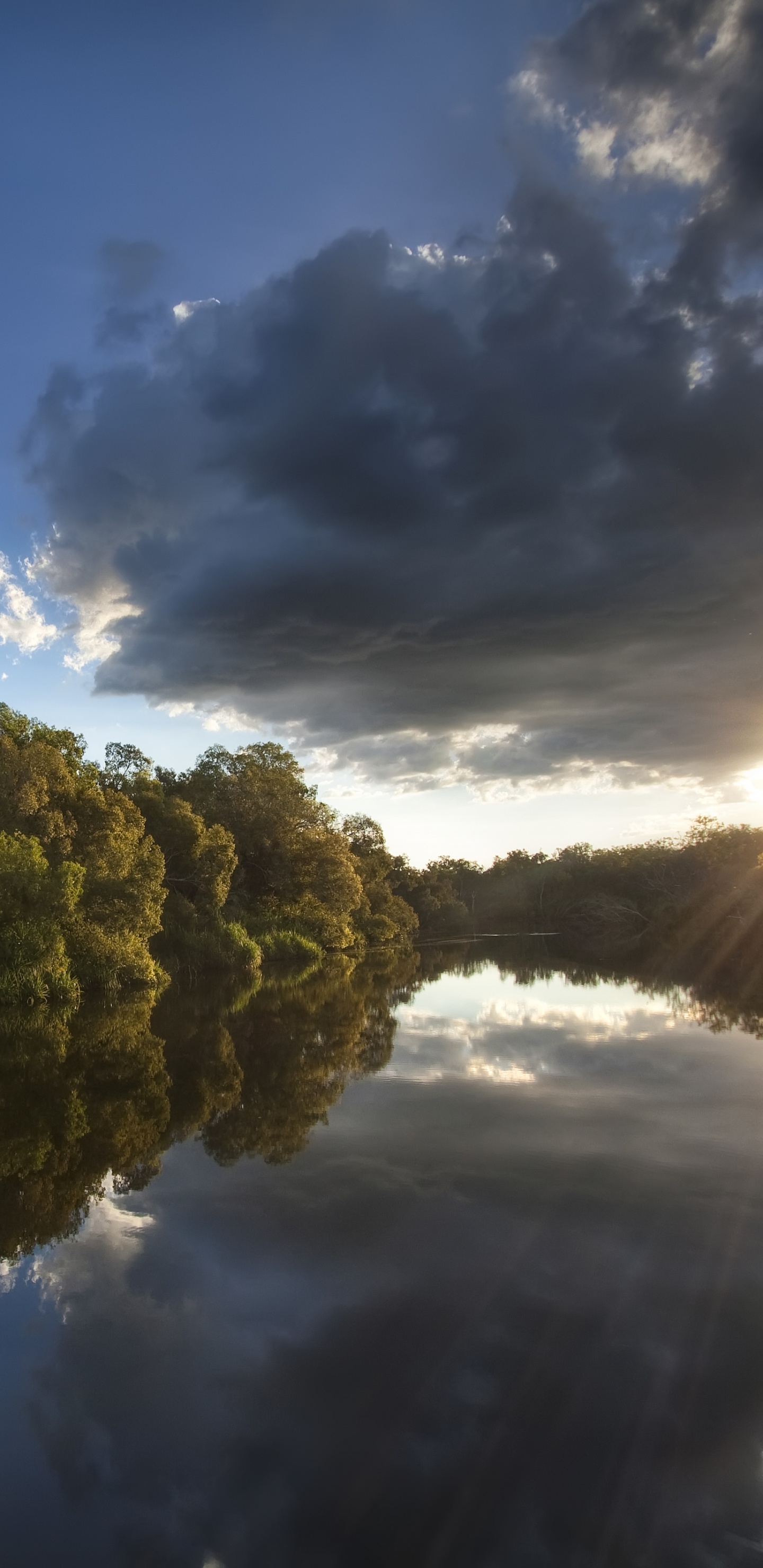 Árboles Verdes Junto al Río Bajo un Cielo Azul Durante el Día. Wallpaper in 1440x2960 Resolution