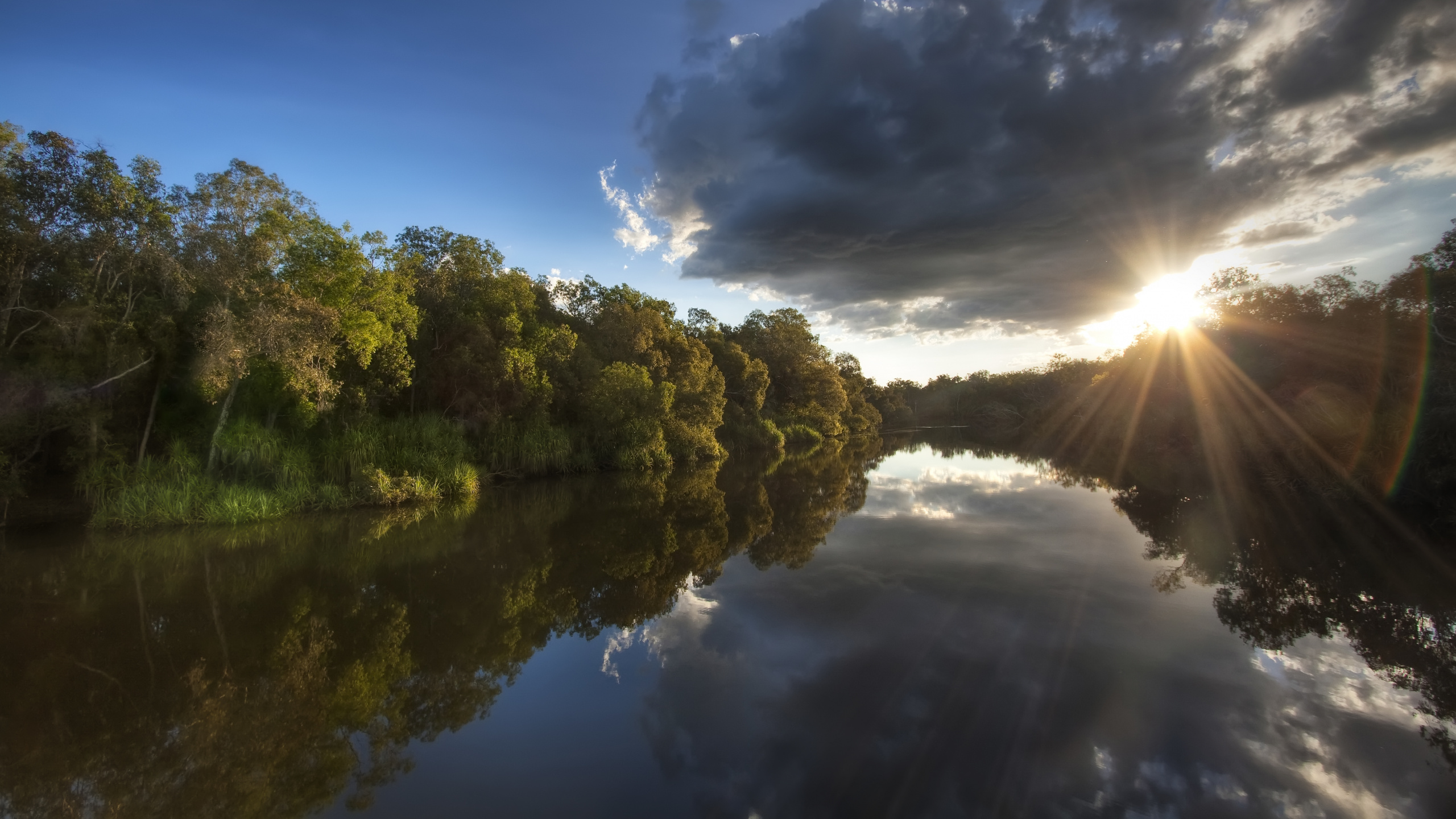 Green Trees Beside River Under Blue Sky During Daytime. Wallpaper in 2560x1440 Resolution