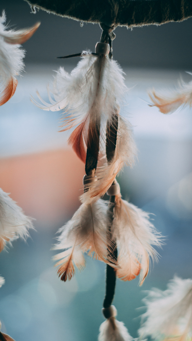 Pluma Blanca en Fotografía de Cerca. Wallpaper in 750x1334 Resolution