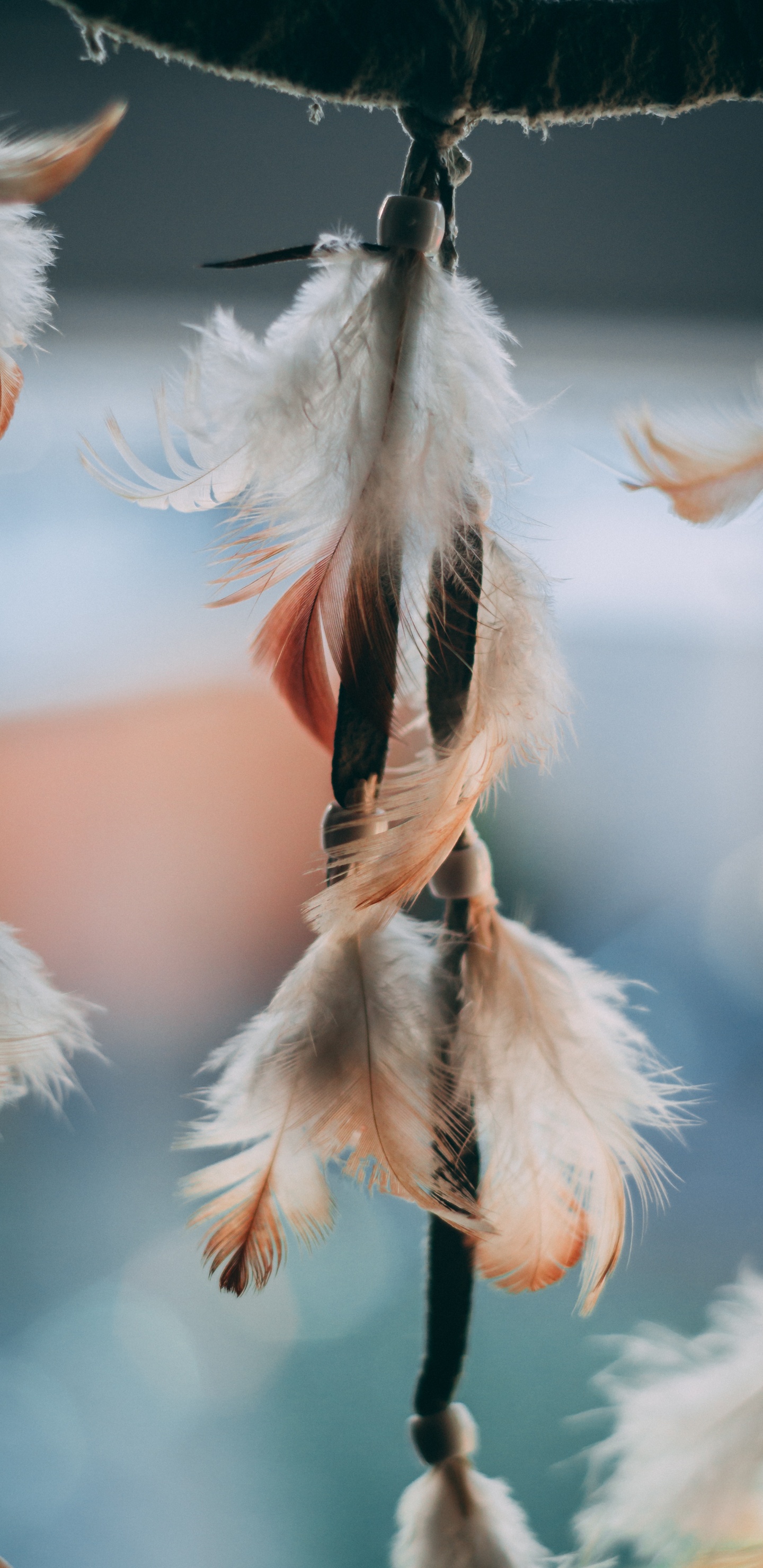 White Feather in Close up Photography. Wallpaper in 1440x2960 Resolution