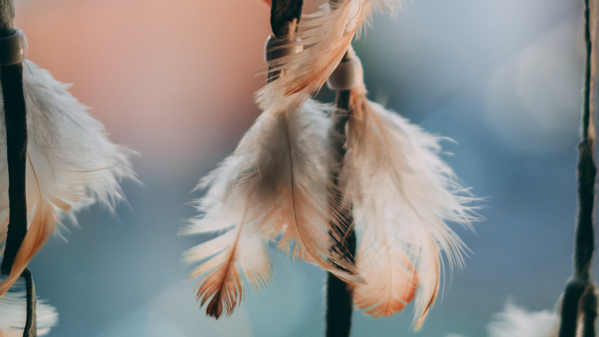 White Feather in Close up Photography. Wallpaper in 1920x1080 Resolution
