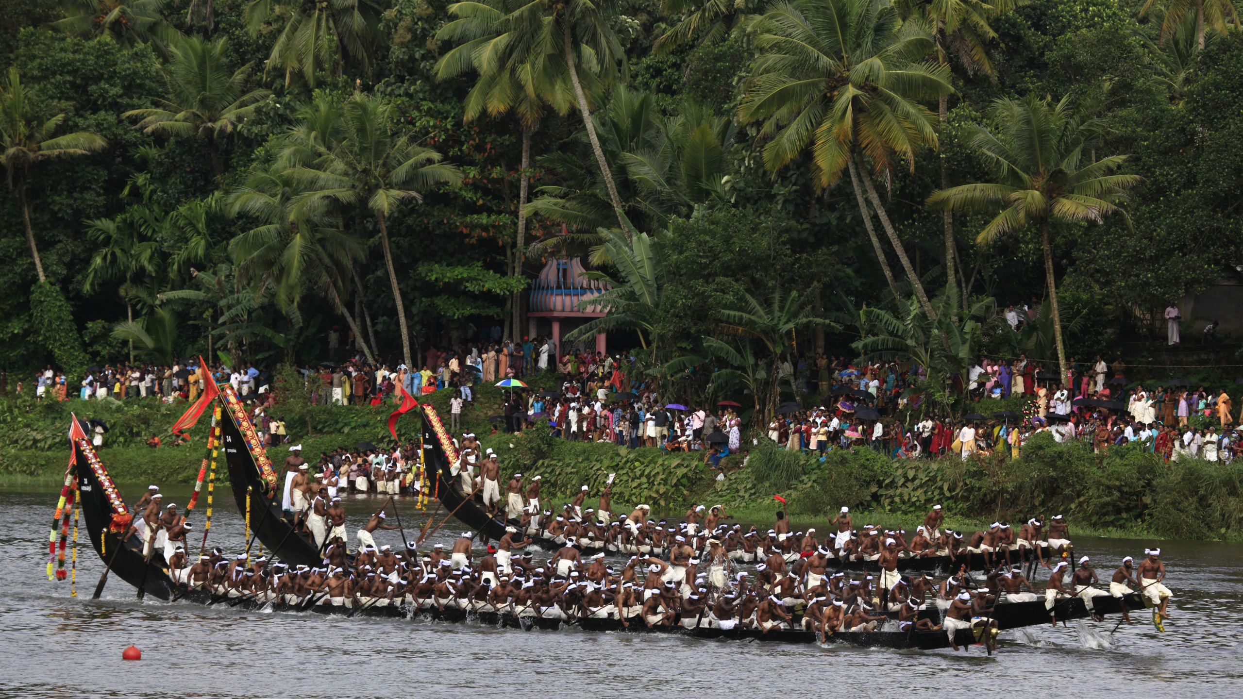 People on Beach During Daytime. Wallpaper in 2560x1440 Resolution