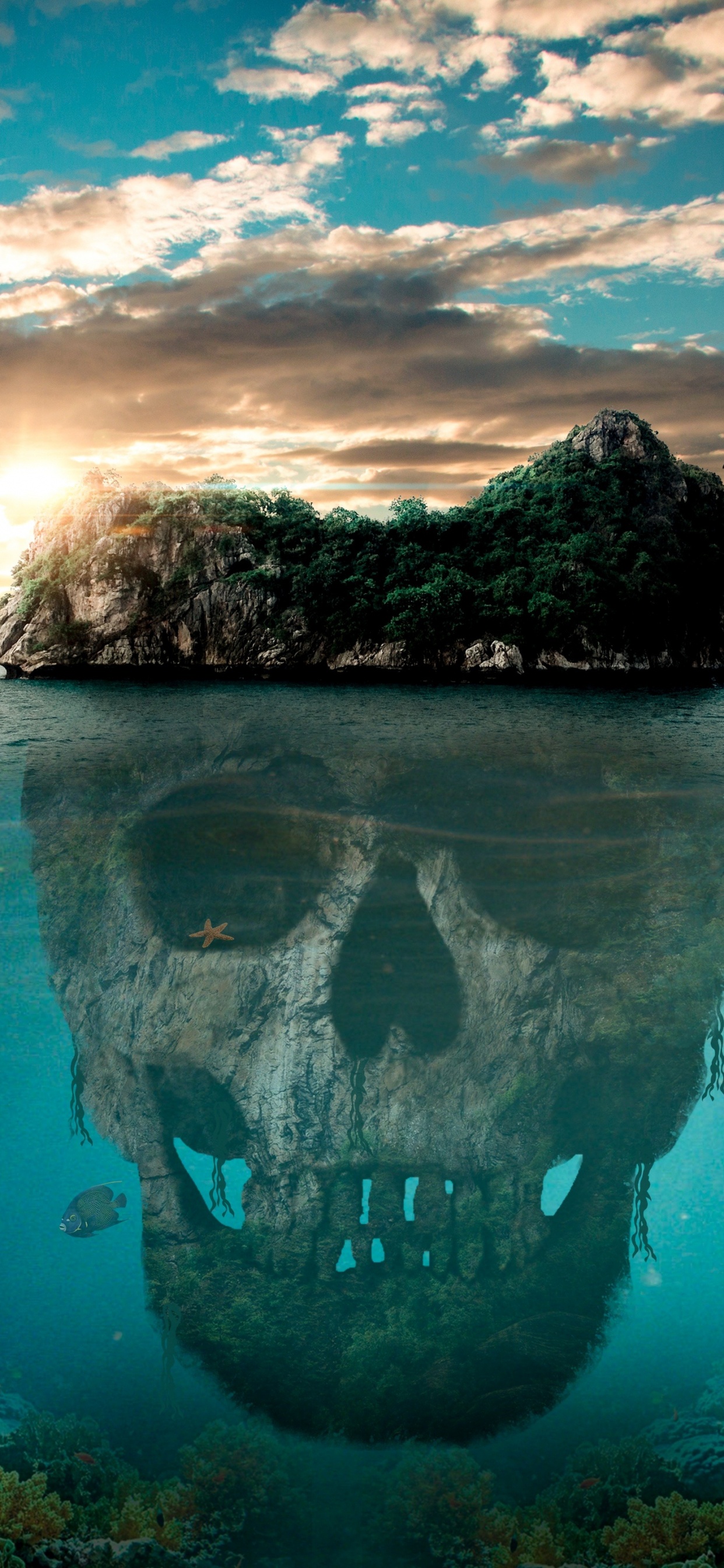 Braune Felsformation am Gewässer Tagsüber. Wallpaper in 1242x2688 Resolution