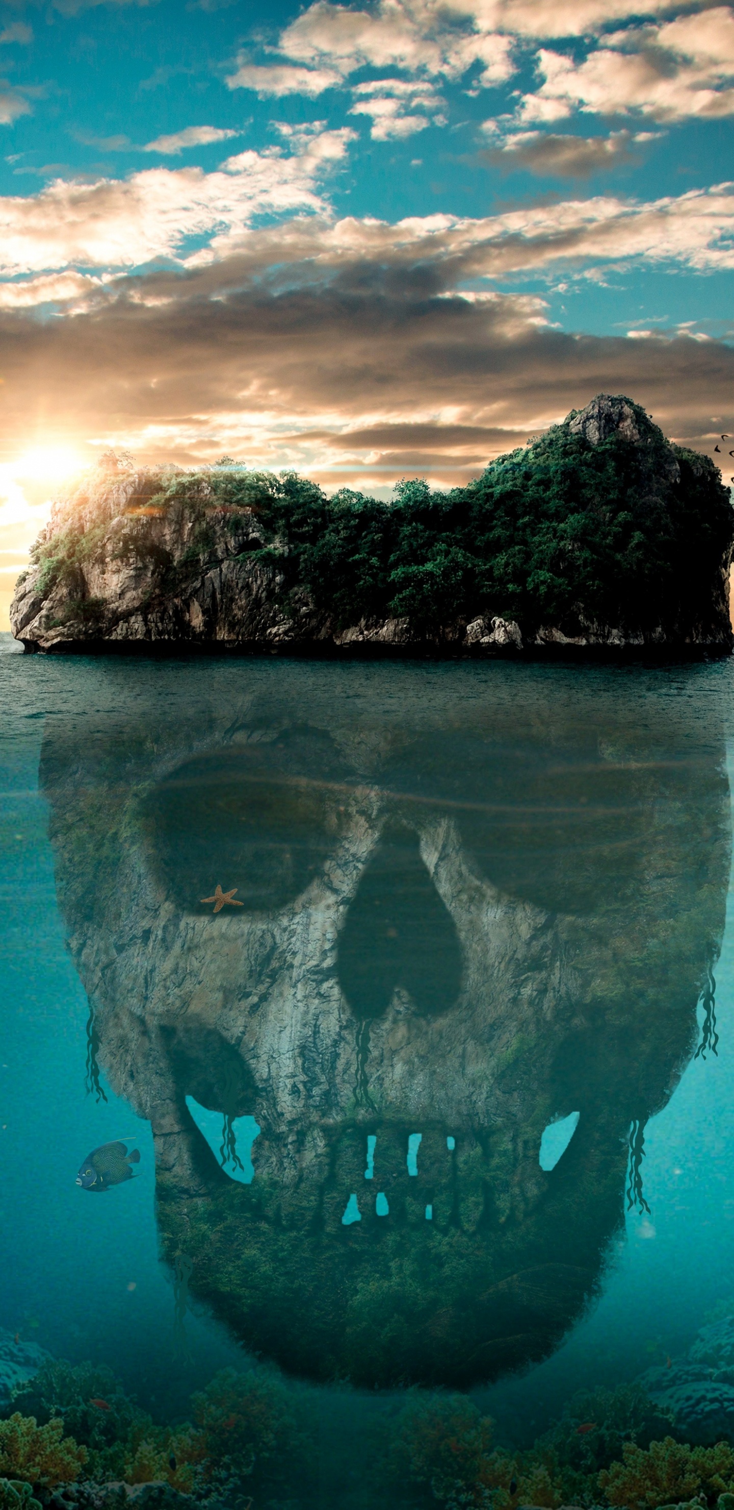 Braune Felsformation am Gewässer Tagsüber. Wallpaper in 1440x2960 Resolution