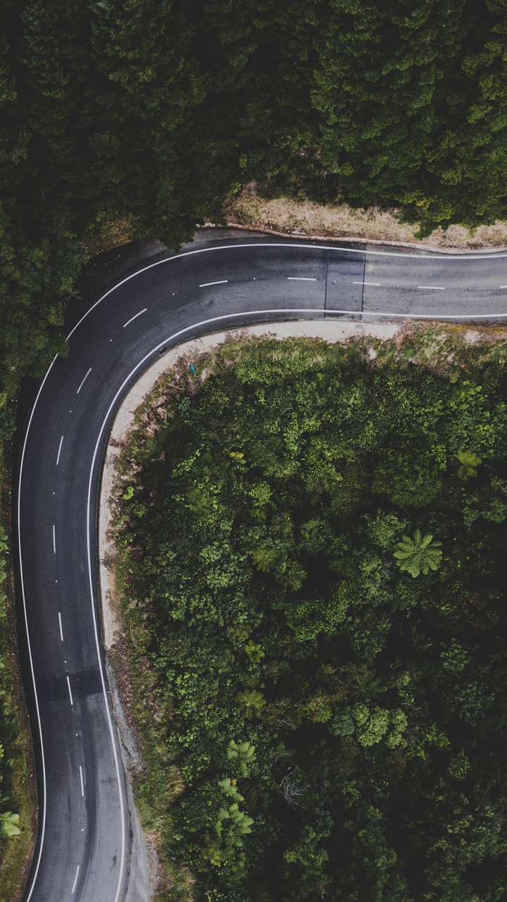 Road, Ios, Plant, Automotive Tire, Road Surface. Wallpaper in 720x1280 Resolution