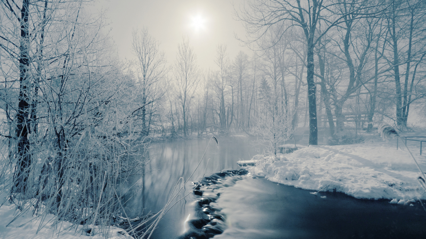 Snow Covered Trees and Road During Daytime. Wallpaper in 1366x768 Resolution