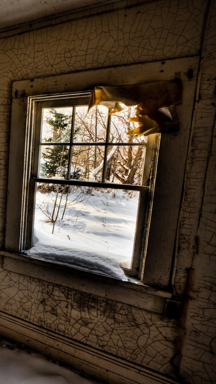 White Wooden Framed Glass Window. Wallpaper in 750x1334 Resolution