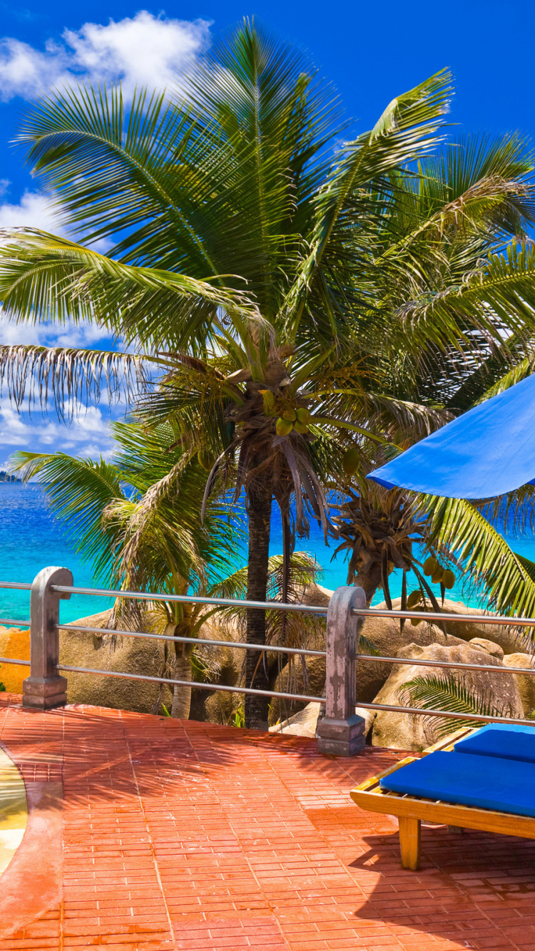 Blue and Brown Lounge Chairs Near Swimming Pool During Daytime. Wallpaper in 750x1334 Resolution