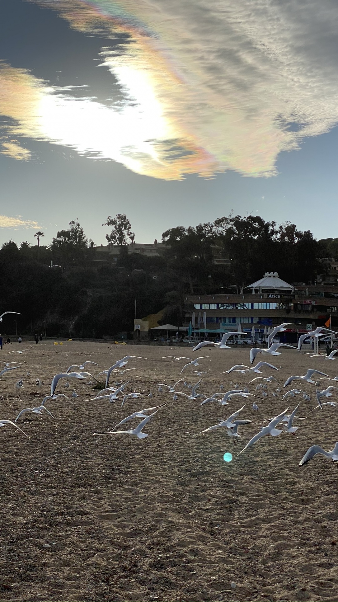 Water, Biology, Science, Cloud, Soil. Wallpaper in 1080x1920 Resolution