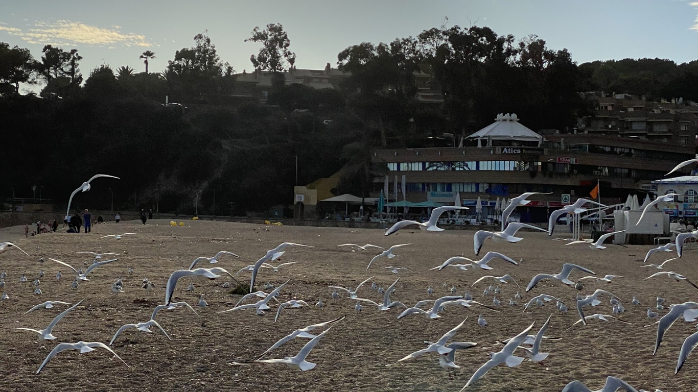 Water, Biology, Science, Cloud, Soil. Wallpaper in 1366x768 Resolution