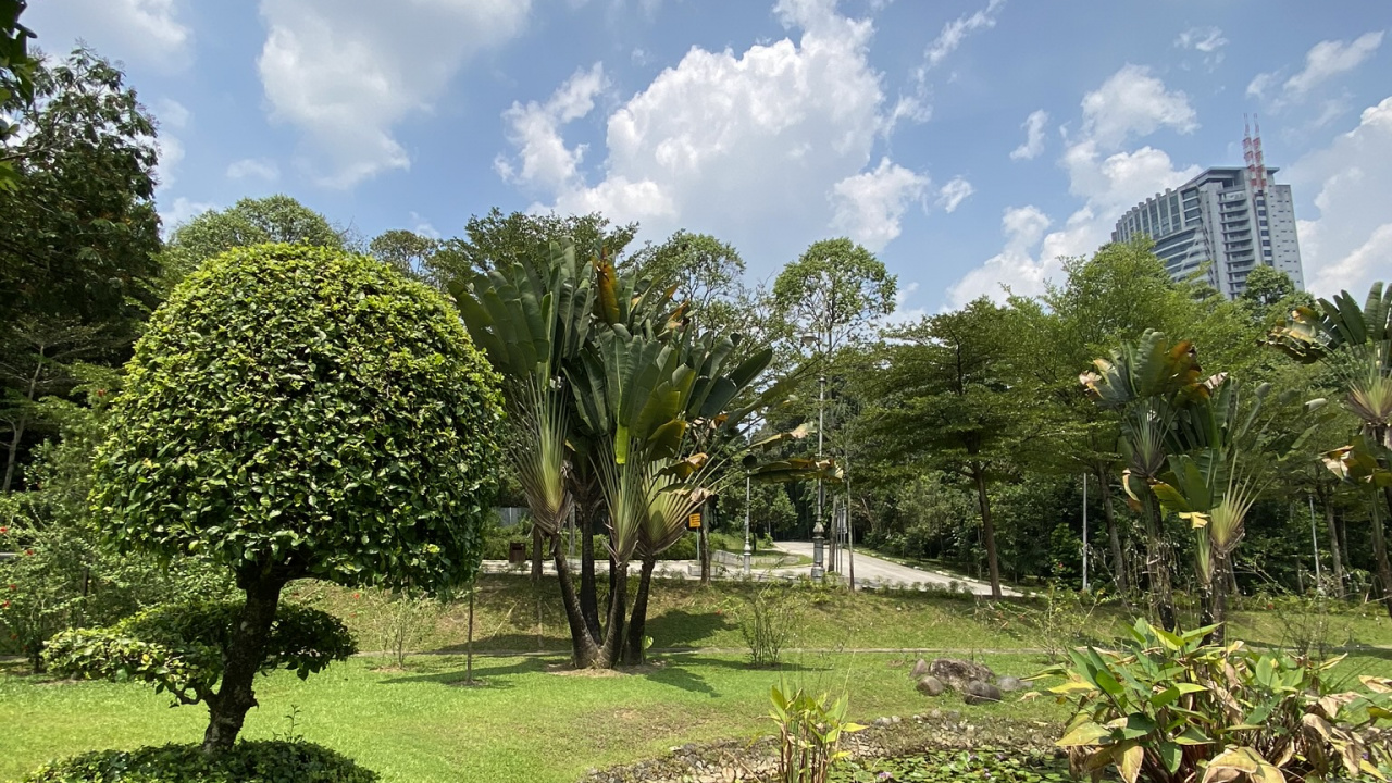 Vegetation, Botanical Garden, Plant Community, Plant, Cloud. Wallpaper in 1280x720 Resolution